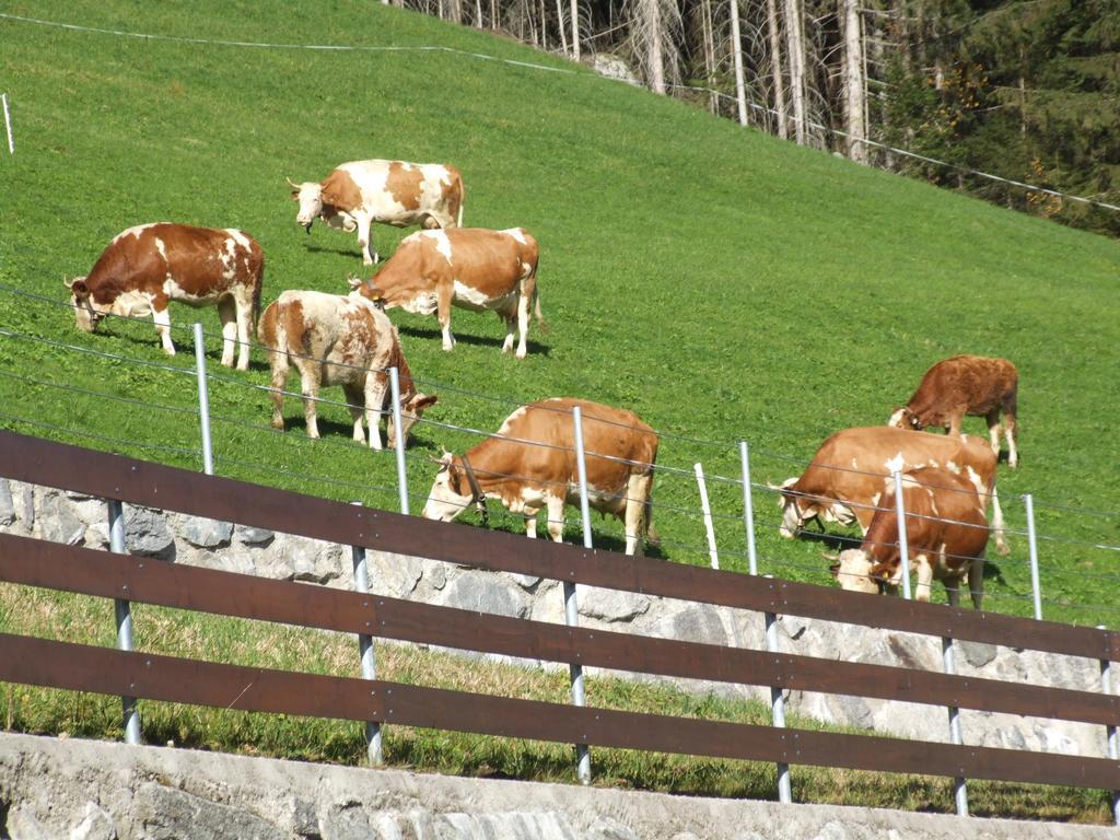 Ferienwohnung Lehenhof Ried im Zillertal Phòng bức ảnh